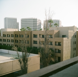 lubitel_firstWEB-13380004