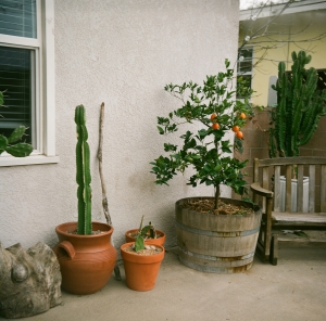 lubitel_firstWEB-13380011