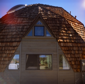 lbtl_provia100_jtree-000029700005