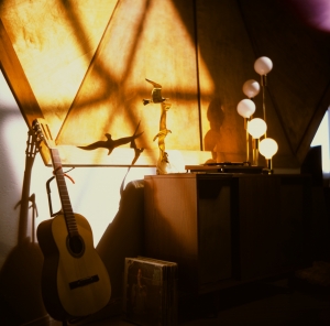 lbtl_provia100_jtree-000029700011