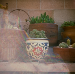 lubitel_provifa100f_WEB-17230002