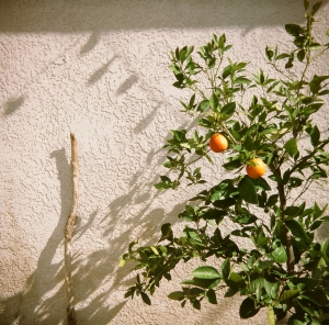lubitel_provifa100f_WEB-17230008