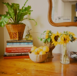 lubitel_provifa100f_WEB-17230012