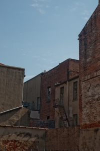 DSC_3453