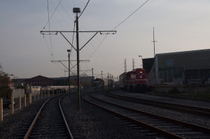 DSC_3674