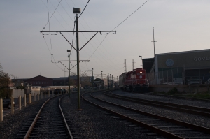 DSC_3675