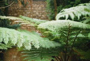 paristemecWEB-000014390007