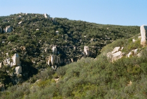 paristemecWEB-000014390008