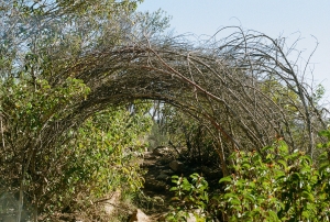 paristemecWEB-000014390009