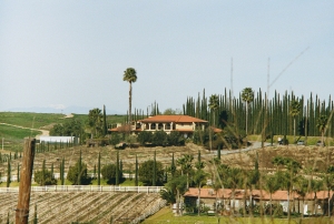 paristemecWEB-000014390022