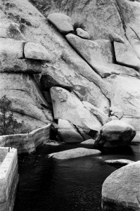 jtree_ilford400+1_sibs-000029710016