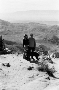 jtree_ilford400+1_sibs-000029710029