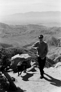 jtree_ilford400+1_sibs-000029710033
