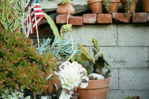 voigt-C41-WEB-53810030