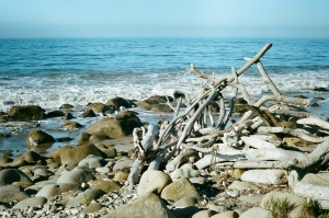 voigt-C41-WEB-53810035