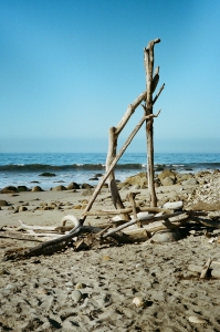 voigt-C41-WEB-53810037