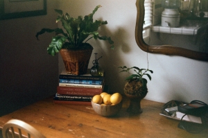 voigtlander_fuji200_expiredWEB-20470004