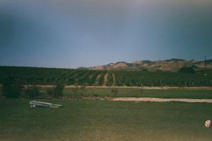 voigtlander_fuji200_expiredWEB-20470009