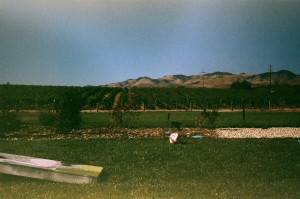 voigtlander_fuji200_expiredWEB-20470012