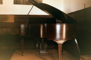 voigtlander_fuji200_expiredWEB-20470015